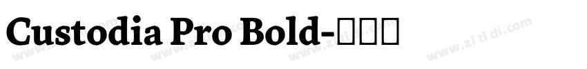Custodia Pro Bold字体转换